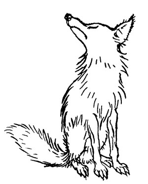 The Fox and the Grapes — The Fox sits back on his haunches with his eyes shut and his nose in the air, giving up on the grapes with an air of dignity.