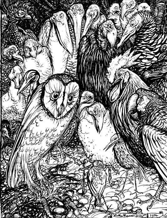 The Owl and the Birds — A crowded pen drawing of all the Birds gathered to hear the Owl, who stands among pelicans, vultures, turkeys, herons, a cock and many more.
