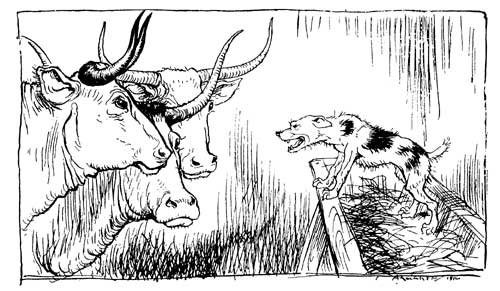 The Dog in the Manger — The Dog crouches snarling on the hay in the Manger, while three horned oxen stand with their heads together, looking at him.