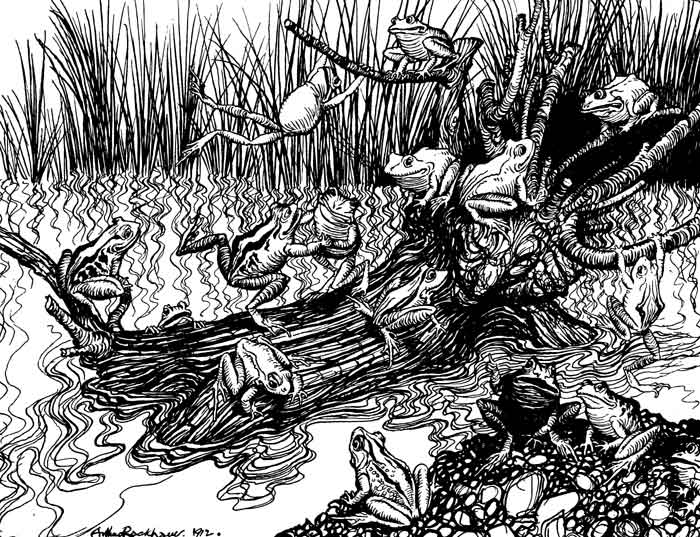 King Log — A pen drawing of the Frogs, grown bold again, sitting and sprawling all over the log that floats in their reedy pool, while others leap on from the rushes.