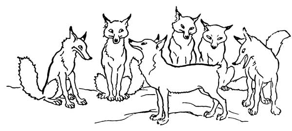 The Fox Without a Tail — The Fox who lost his brush stands in the middle, addressing a ring of five other Foxes, who sit and listen with their bushy tails about them.