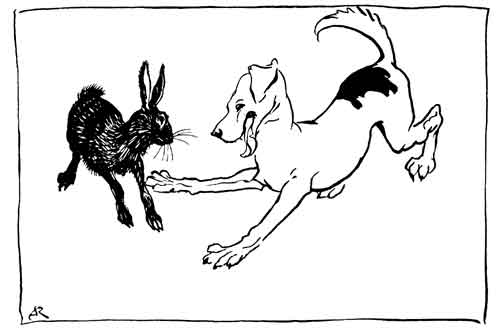 The Hound and the Hare — The young Hound bounds and frisks about the black Hare as if playing with another dog, while she crouches and turns to face him.