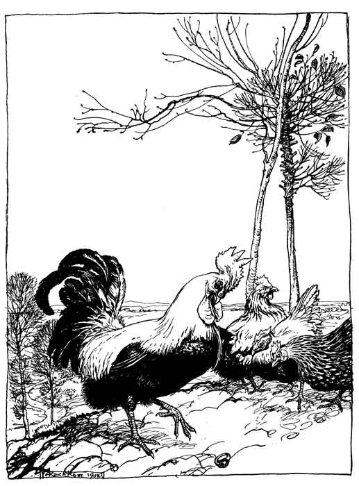 The Cock and the Jewel — Pen drawing on a bare hillside under thin trees: the Cock stands proudly among his hens, looking away over the land, while a small jewel lies in the earth at his feet.