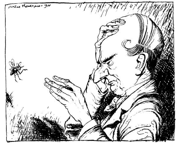 The Bald Man and the Fly — Pen drawing of the Bald Man in profile, scowling, one hand clamped on his scalp after the slap and the other raised open, while the Fly hovers just out of reach.