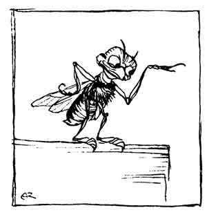 Small pen drawing of a Fly standing upright on the edge of a ledge, grinning with its eyes shut and waving a feeler, as if in derision.