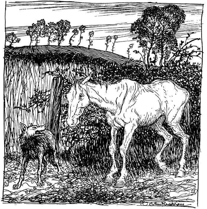 The Wolf and the Horse — Pen drawing of the Wolf at a gap in the hedge beside a field, grinning up at a lean white Horse, who looks down at him warily.