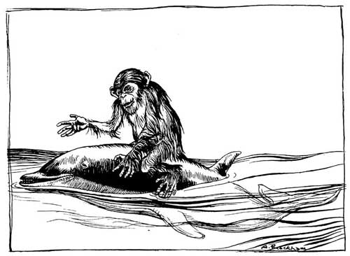 The Monkey and the Dolphin — Pen drawing of the Monkey sitting on the Dolphin's back as it swims through the open sea, one hand held out as he talks.