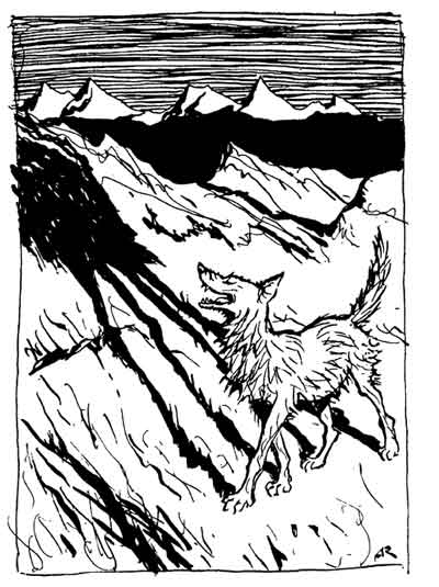 The Wolf and His Shadow — Pen drawing of the Wolf strutting across a hillside when the sun is low, his long shadow thrown far across the slope, with jagged mountains behind.