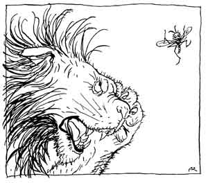 The Gnat and the Lion — Pen drawing of the Lion's great head, roaring with his mouth wide open, as the Gnat buzzes in the air just beyond his nose.