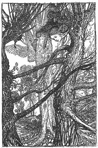 Alice's head and long neck rise up among the tops of the trees, where the Pigeon flutters beside her, beating its wings.