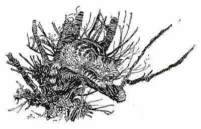 The Cheshire Cat lies stretched along a bough of a tree, its striped body half hidden in the twigs, grinning down.