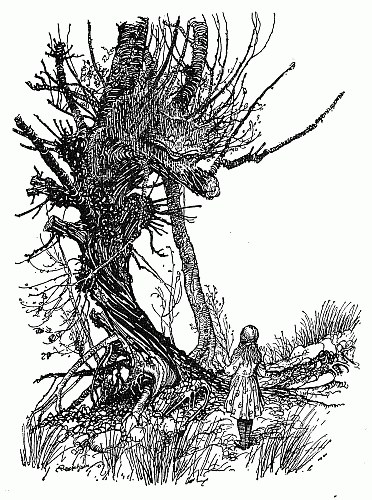 Alice stands small at the foot of a great twisted old tree, looking up at the branches where the Cheshire Cat has vanished.
