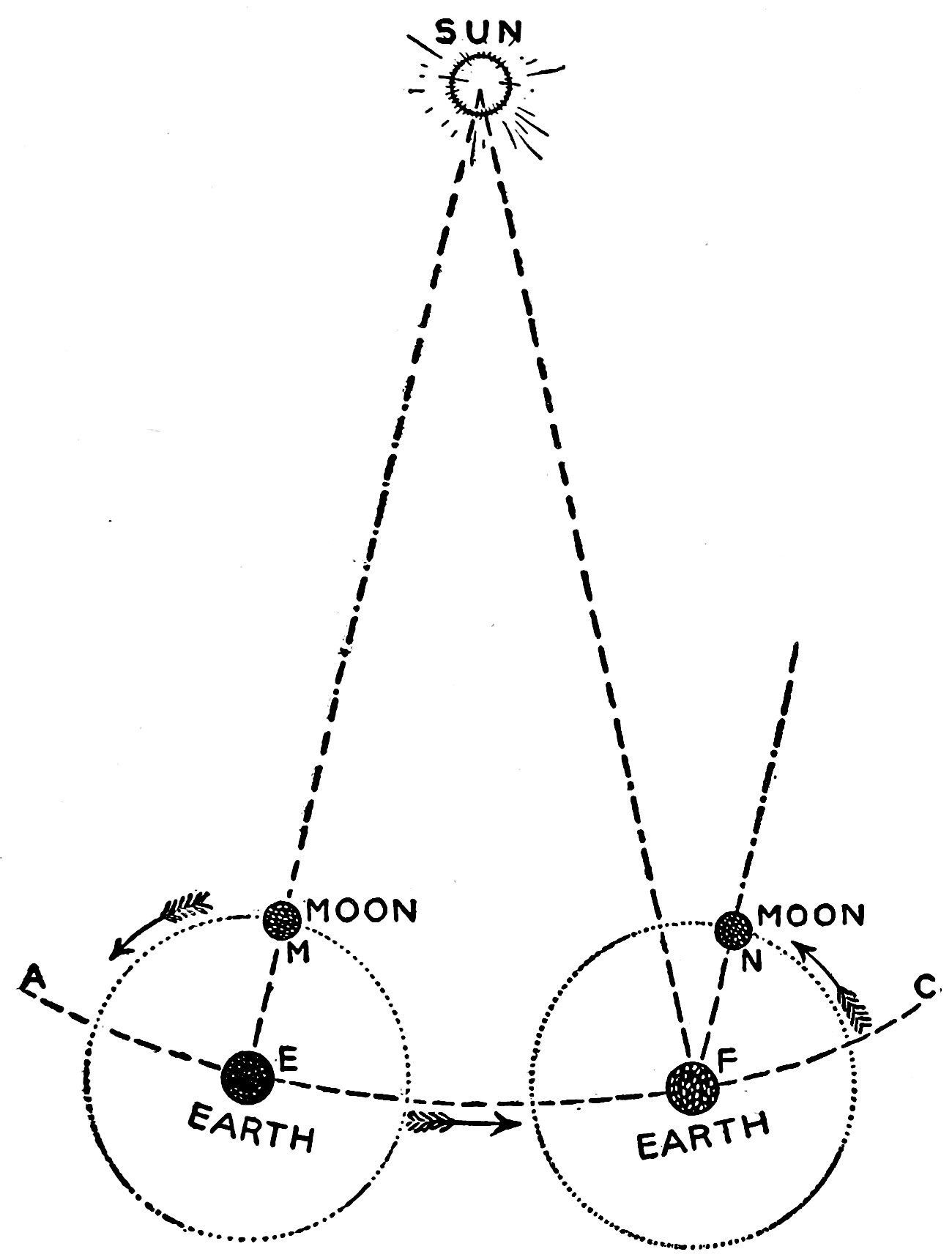 Fig. 19.—Revolution of the Moon Round the Earth. — The earth at E and F on the arc AC of its orbit, each ringed by the dotted orbit of the moon, at M and N. Dashed lines run from EM and FN toward the sun above.