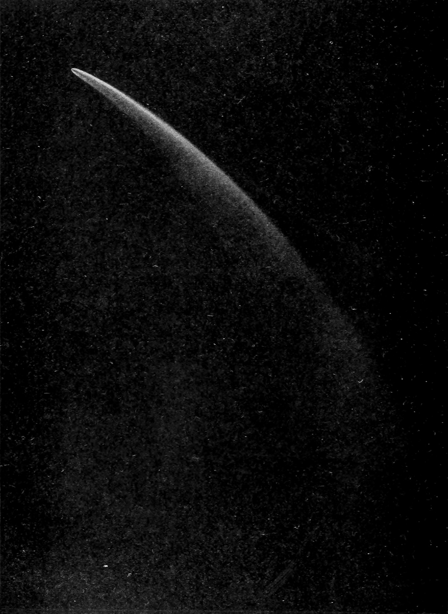Fig. 46.—Donati's Comet, as drawn by G. P. Bond. — The comet as it looked to the naked eye, a small bright head at the upper left and a long curved tail sweeping down and to the right, broadening and fading as it goes.
