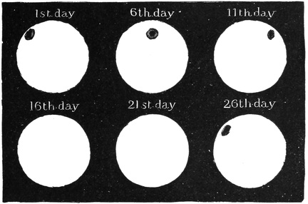 How the Sun turns round