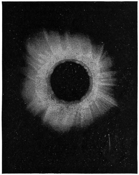 The Corona of the Sun, 1882 (by Schuster)