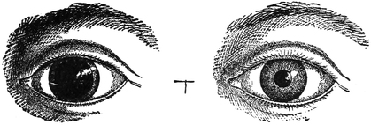 This shows the Eye in the Dark. This shows the Eye in the Daylight