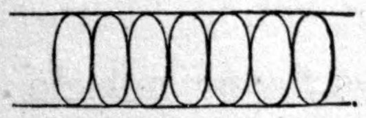 Fig. 52. — The same muscular fibre with the muscle contracted: seven cells, now shortened and tall, so that each is an upright oval between the two parallel lines.