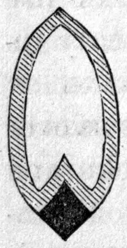 Fig. 55. — Cross-section of a kernel of wheat: a hatched outer band surrounds a pale inner mass, with a small solid black wedge at the bottom.