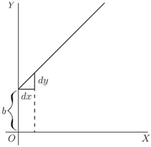 Fig. 19. — A straight line crossing the y axis at a height b and rising at 45°, with equal steps dx and dy drawn at its foot.