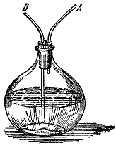 The globe of limewater with two tubes, A and B. Through A the lecturer draws outside air in through the water to his lungs; through B he blows his breath down through the water.