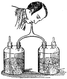Two bottles joined by tubes, one holding limewater and the other common water, arranged so that the breath drawn in passes through one and the breath sent out passes through the other.
