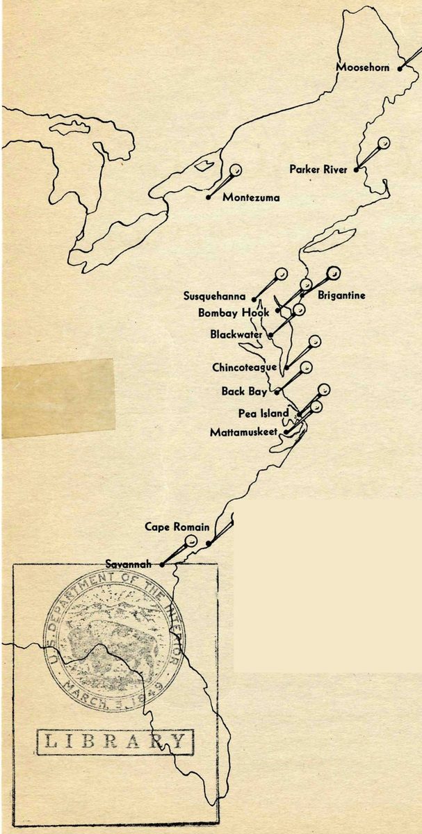 PRINCIPAL WATERFOWL REFUGES OF THE ATLANTIC FLYWAY — An outline map of the Atlantic coast from Maine to Florida, with pins marking named refuges: Moosehorn, Parker River, Montezuma, Susquehanna, Bombay Hook, Brigantine, Blackwater, Chincoteague, Back Bay, Pea Island, Mattamuskeet, Cape Romain and Savannah.