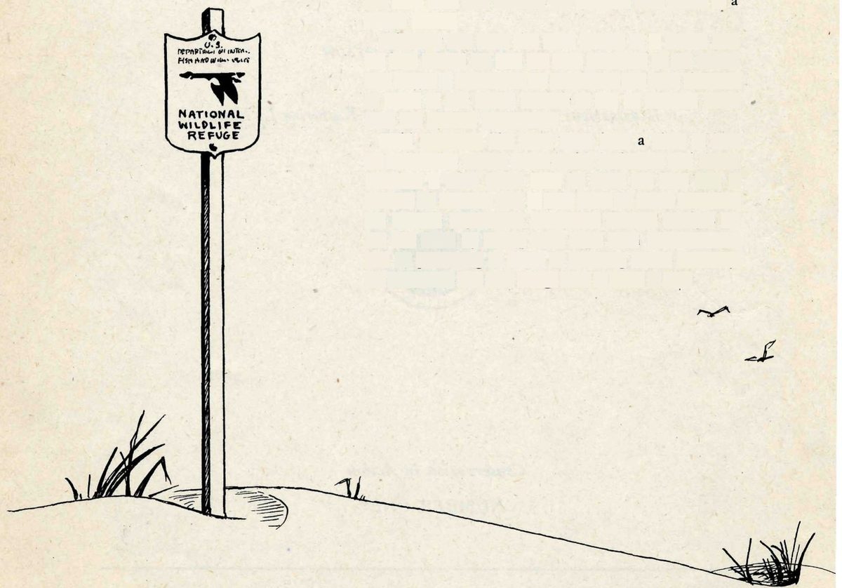 A line drawing of a refuge sign on a post atop a grassy sand dune. The shield-shaped sign shows a flying goose and reads National Wildlife Refuge. Two small birds fly at the right.