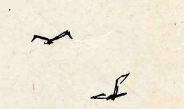 Two tiny sketched birds in flight, drawn in a few black pen strokes against plain paper, one above and to the left of the other.