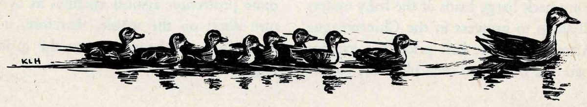 A black-and-white print of a mother duck swimming at the right, followed in single file across the water by a row of eight ducklings, with reflections below and the initials KLH at left.