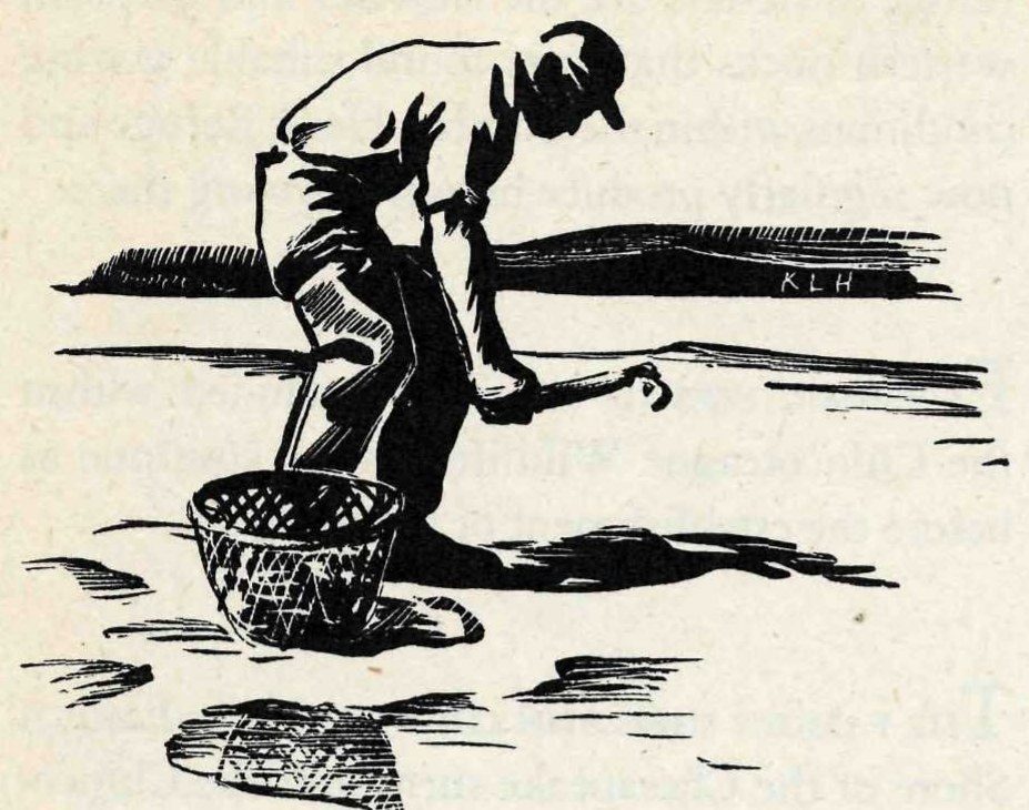 A woodcut-style print of a man in a cap bent over on a wet tide flat, holding a short-handled tool, with a wire basket standing beside him.