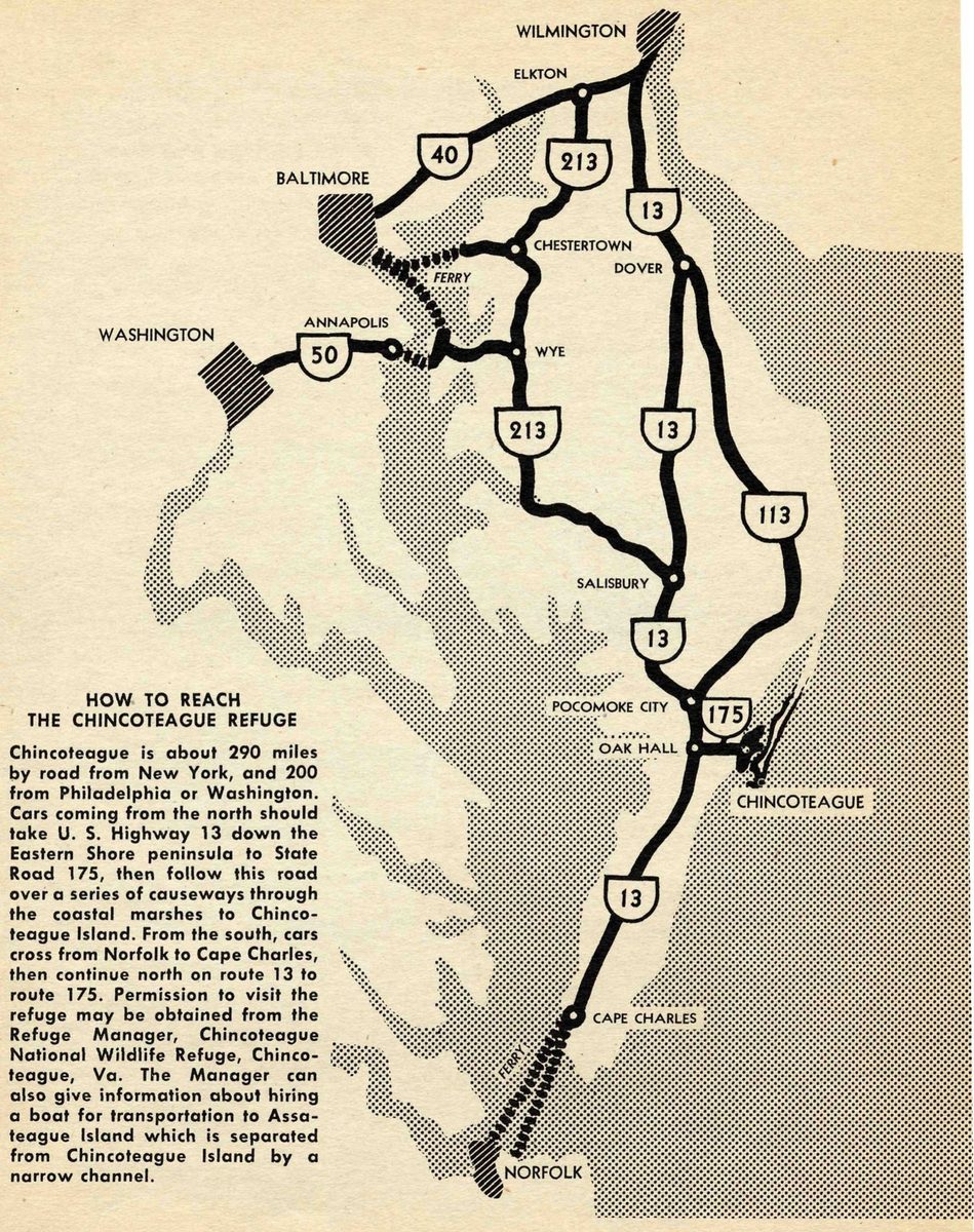 A road map of the Delmarva peninsula headed How to Reach the Chincoteague Refuge, showing Routes 13, 113, 213, 175, 40 and 50, the towns along them, ferries, and the cities of Wilmington, Baltimore, Washington and Norfolk.