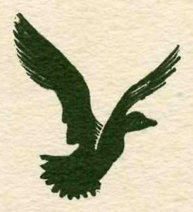 A dark green silhouette of a duck rising into flight, seen from the side, with both wings raised high and its tail feathers spread.