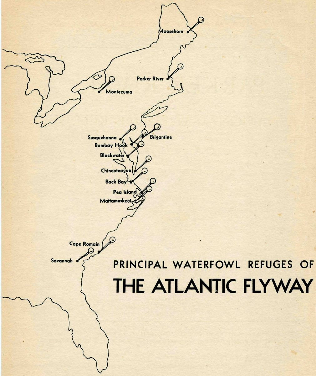 PRINCIPAL WATERFOWL REFUGES OF THE ATLANTIC FLYWAY — Outline map of the Atlantic coast from Maine to Florida, with pins marking Moosehorn, Parker River, Montezuma, Susquehanna, Bombay Hook, Brigantine, Blackwater, Chincoteague, Back Bay, Pea Island, Mattamuskeet, Cape Romain and Savannah.