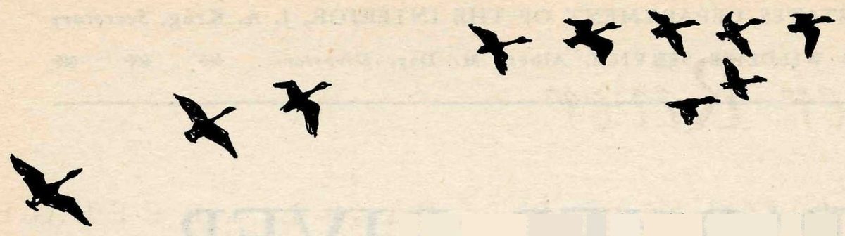 Black silhouettes of ten geese in flight, strung out in a loose line that rises from the lower left to the upper right.
