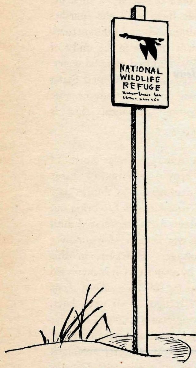 Line drawing of a tall post on a grassy dune, topped by a sign showing the flying goose emblem above the words National Wildlife Refuge.