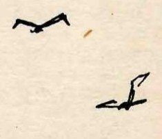 Two small black brush-stroke silhouettes of birds in flight, one higher on the left and one lower on the right.