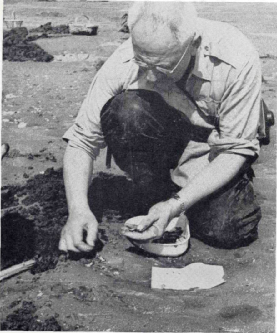 Photograph of a man in glasses and rolled sleeves kneeling on a tidal flat beside dug-up mud, holding a small dish in one hand and reaching into the mud with the other.