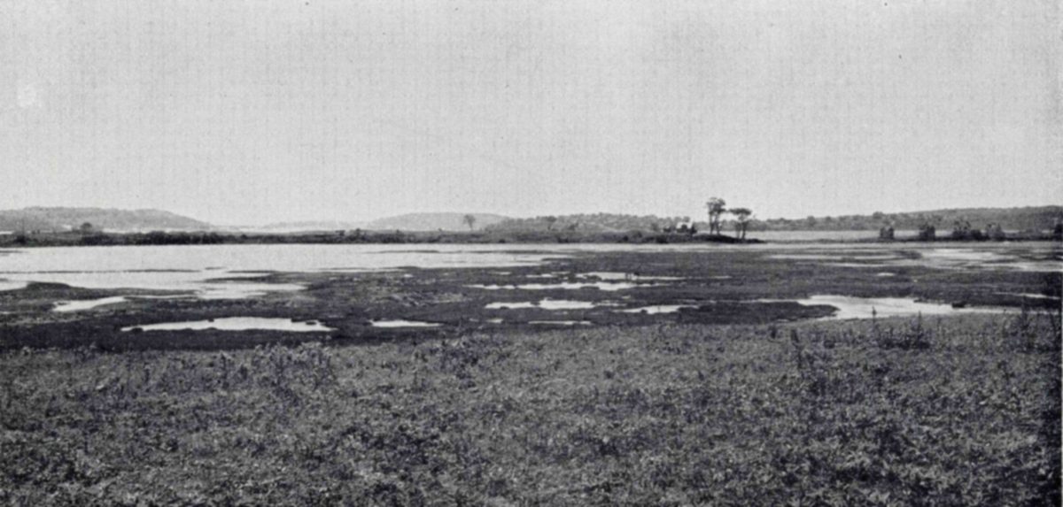 Below, left: pot-holes dot the marshes, are favorite stopping places for ducks. — Photograph of a flat marsh of low plants with scattered pools of open water, a few trees on a far bank and low hills under an overcast sky.