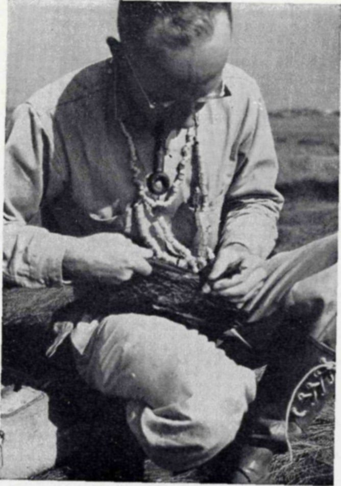Photograph of a crouching man in glasses working with both hands on a dark-feathered bird held in his lap, with a string of small rings hanging around his neck.