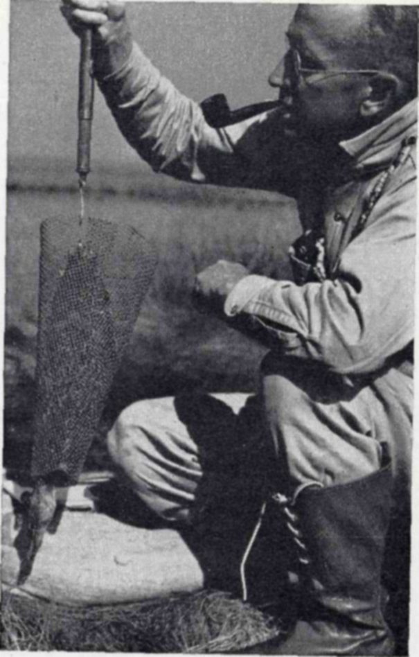 Photograph of a crouching man in glasses with a pipe in his mouth, holding up a long cone-shaped mesh trap by a cord, with marsh grass behind him.