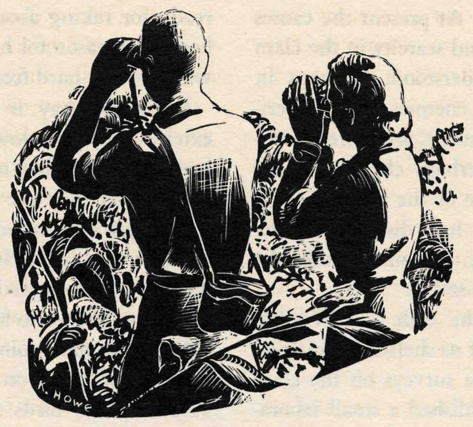 Woodcut seen from behind of two people standing among leafy plants, each raising binoculars to their eyes.