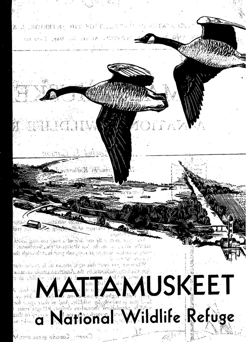 Cover: Canada geese over Mattamuskeet Lodge — Front cover of the booklet: two black-and-white drawings of Canada geese in flight over a drawn view of a lake, marsh, canal and lighthouse, with the title lettered below.