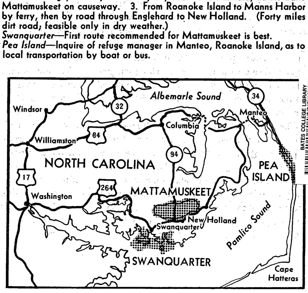 Road map of eastern North Carolina between Albemarle Sound and Pamlico Sound, with shaded refuge areas at Mattamuskeet, Swanquarter and Pea Island, and routes 17, 32, 34, 64, 94 and 264 linking Washington, Columbia, Manteo and other towns.