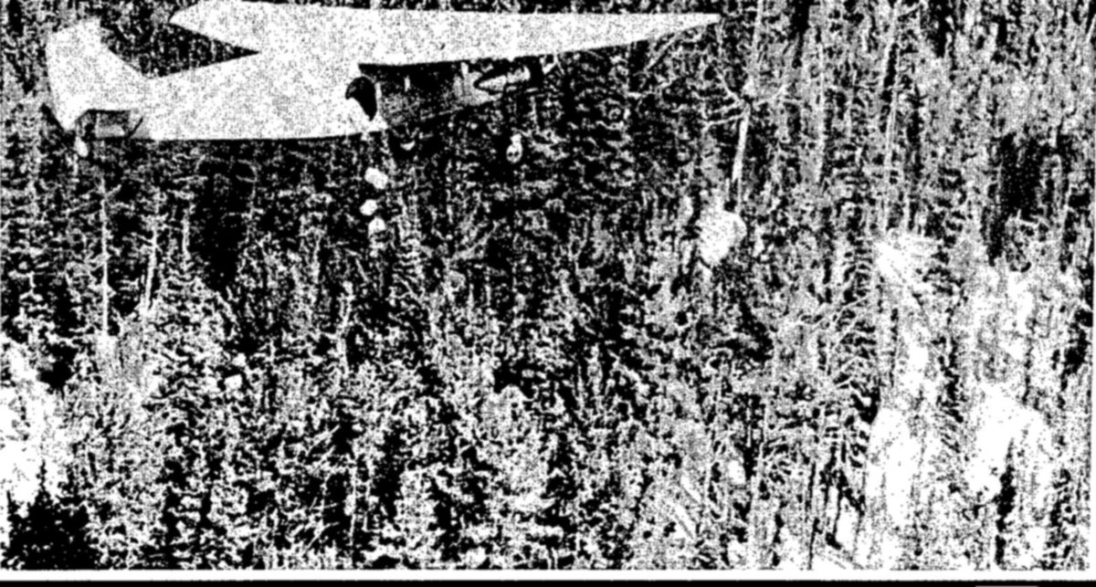 A high-winged airplane flies low over a dense evergreen forest while several small white packages fall from it toward the treetops.