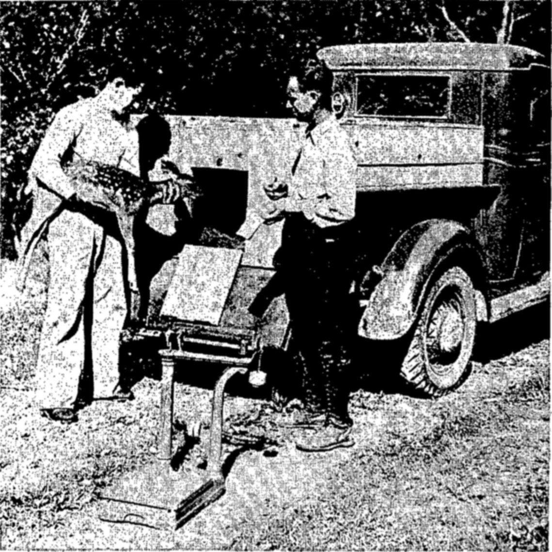 Above: Deer are involved in more transplanting operations than any other animals. All game animals transplanted are ear-tagged so that later movements may be studied. — Two men stand by the open rear of an old truck beside a platform scale; the man at left holds a spotted fawn in his arms.