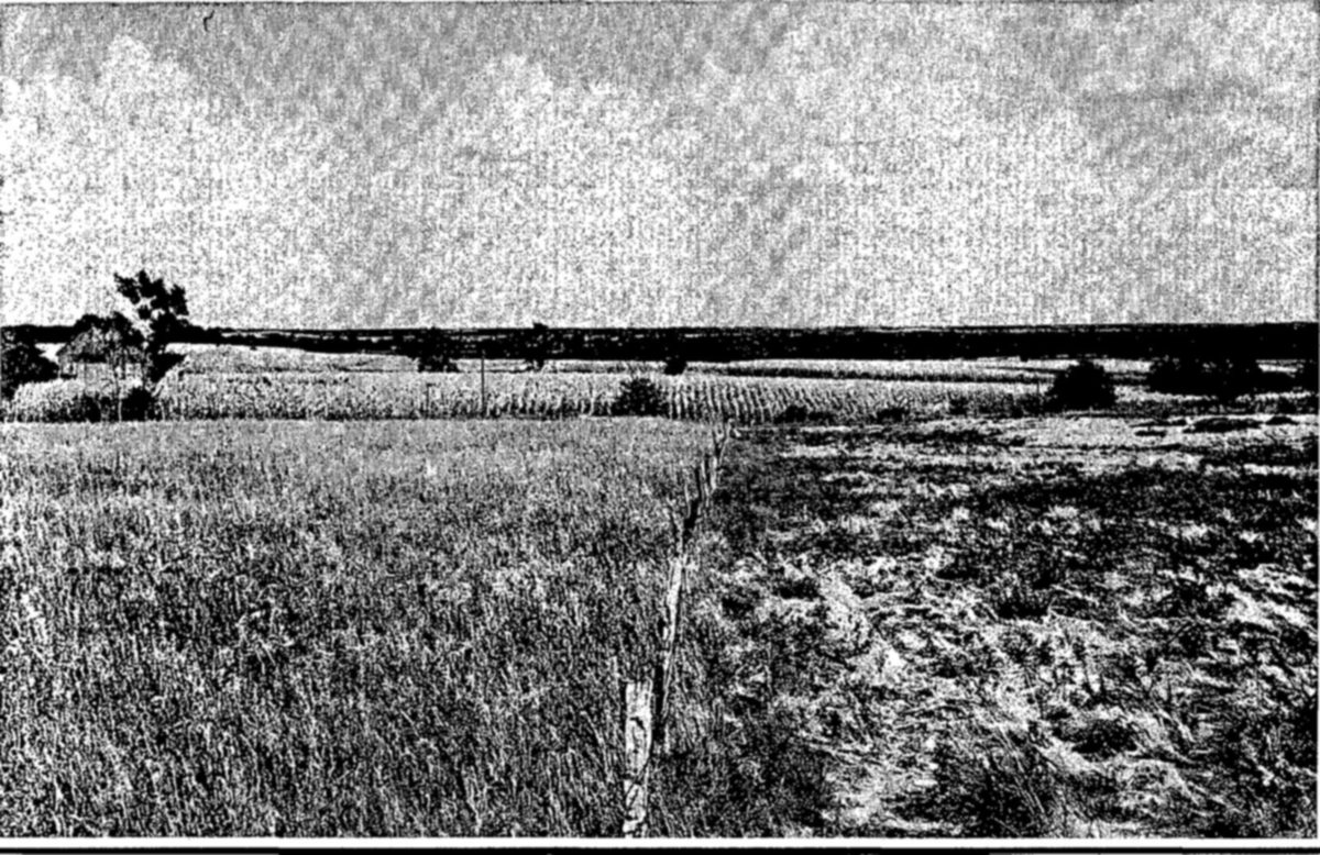 A fence line divides two pastures: thick tall grass on the left, and bare, sparse, trampled ground on the right, with a cornfield and a farmhouse in the distance.