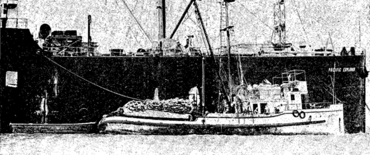 Below: Large factory ships accompanied by trawlers or seiners are a recent development in the fisheries. By processing fish at sea, they make possible longer trips, better quality products. — A smaller fishing boat with a heap of net on its deck lies alongside the high dark hull of a large ship, whose stern is marked Pacific Explorer.
