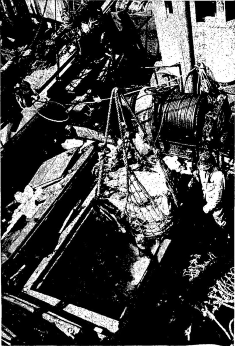 On a boat deck, a rope net heavy with a large fish or catch hangs above an open hatch beside a cable winch drum, while a man in work clothes stands at the right.