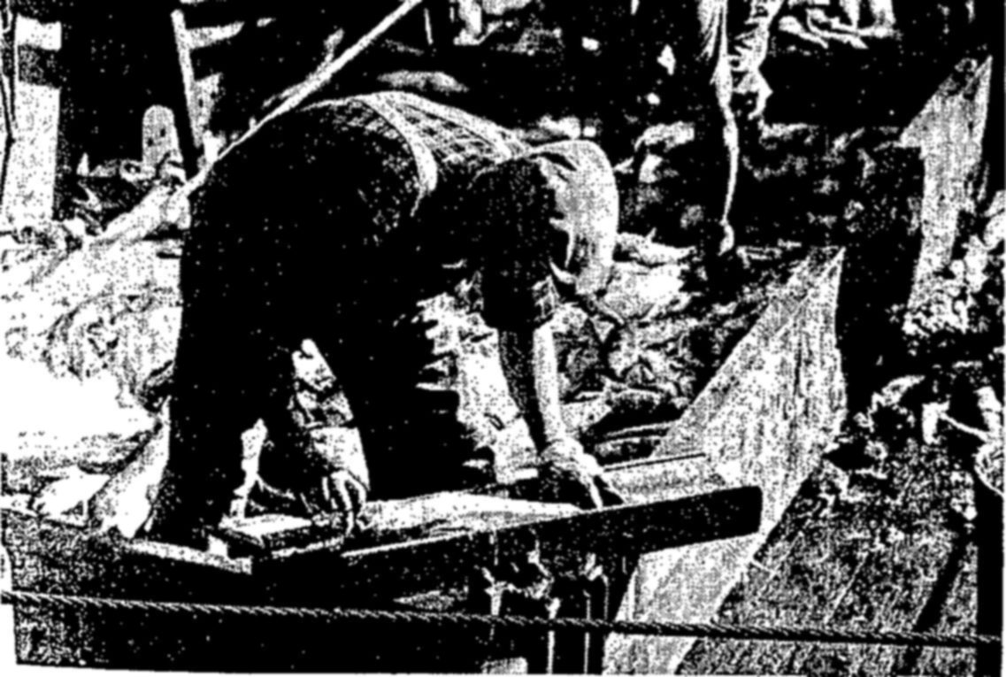 Below, left: Aboard a fishing trawler, a biologist makes observations on the catch. — A man in a cap and vest bends over a board on a deck, leaning on it with both hands, with a cable across the foreground and a pile of fish behind him.
